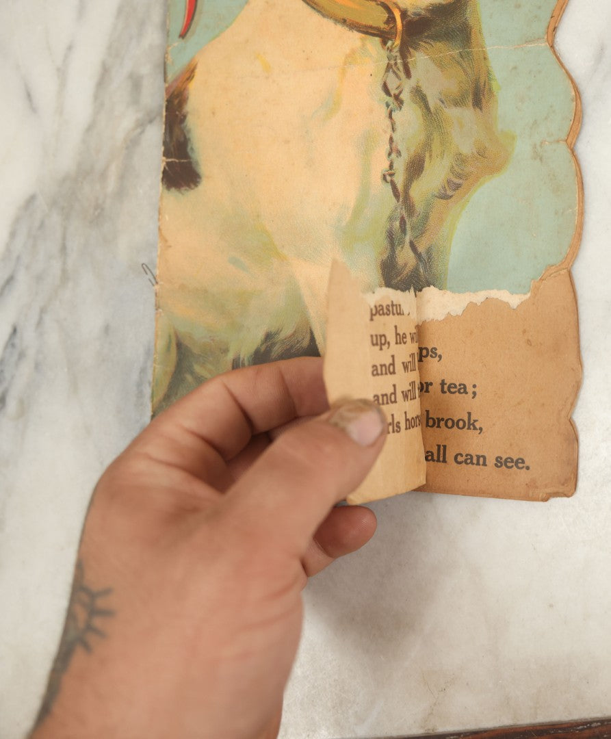 Lot 046 - Vintage Die-Cut Children's Book "Our Pets" In The Shape Of A Boston Terrier, Published By Charles E. Graham & Co., Newark, New Jersey And New York City