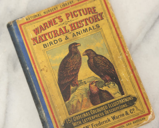 Lot 053 - "Warne's Picture Natural History: Birds And Animals" Antique Book Published By Frederick Warne & Co., London, Circa Late 19th Century