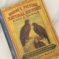 Lot 053 - "Warne's Picture Natural History: Birds And Animals" Antique Book Published By Frederick Warne & Co., London, Circa Late 19th Century