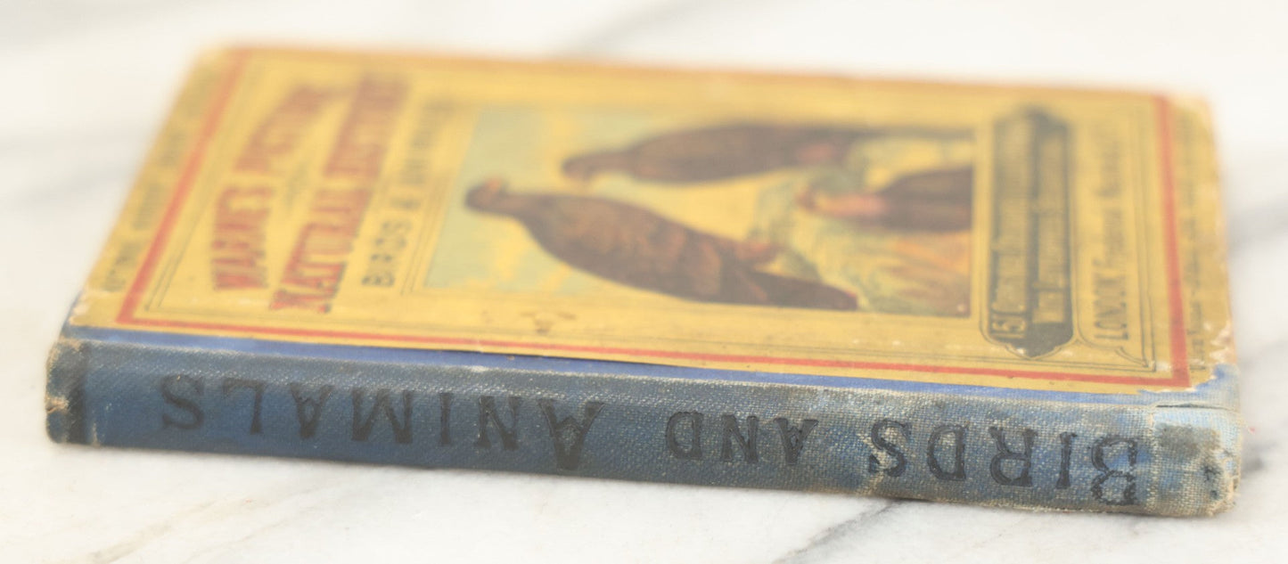 Lot 053 - "Warne's Picture Natural History: Birds And Animals" Antique Book Published By Frederick Warne & Co., London, Circa Late 19th Century