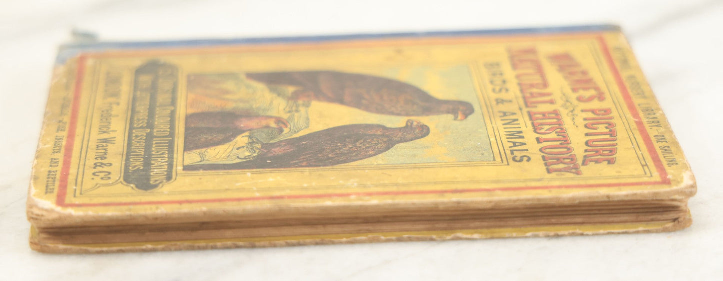 Lot 053 - "Warne's Picture Natural History: Birds And Animals" Antique Book Published By Frederick Warne & Co., London, Circa Late 19th Century