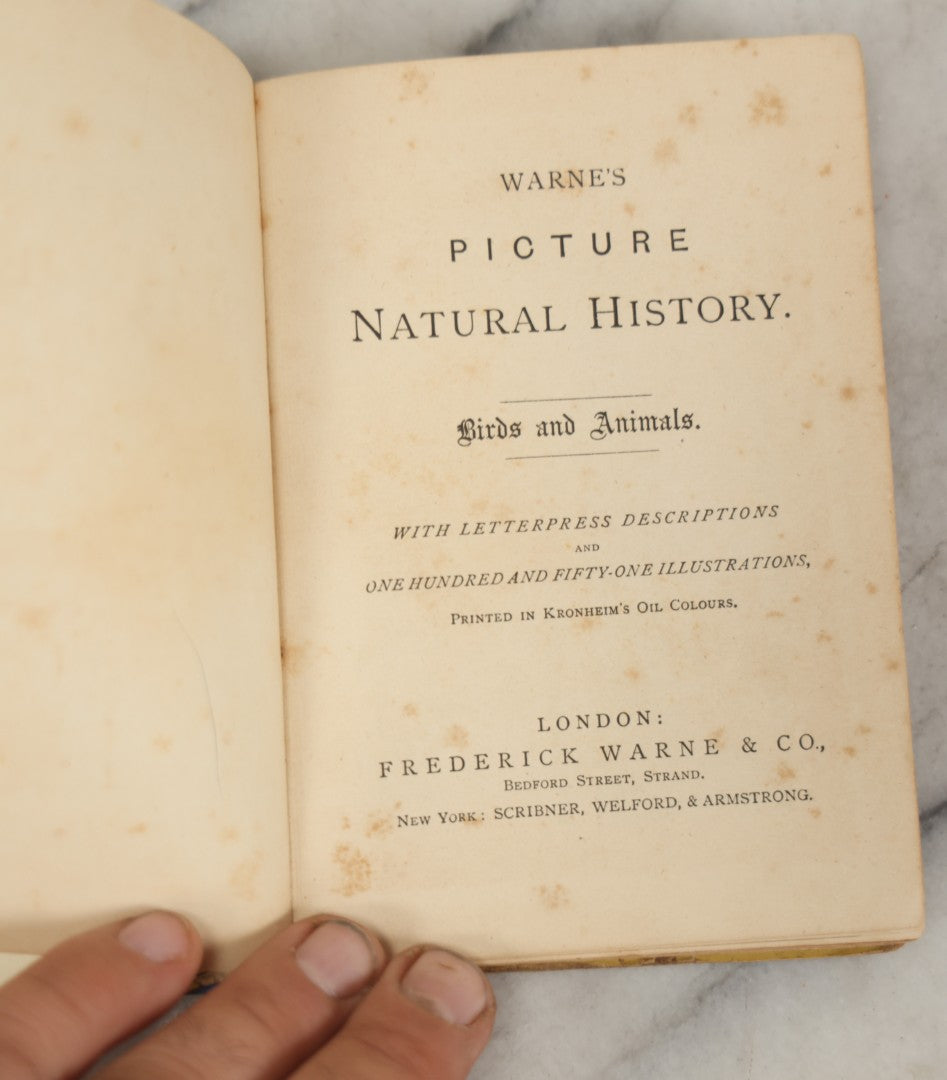 Lot 053 - "Warne's Picture Natural History: Birds And Animals" Antique Book Published By Frederick Warne & Co., London, Circa Late 19th Century
