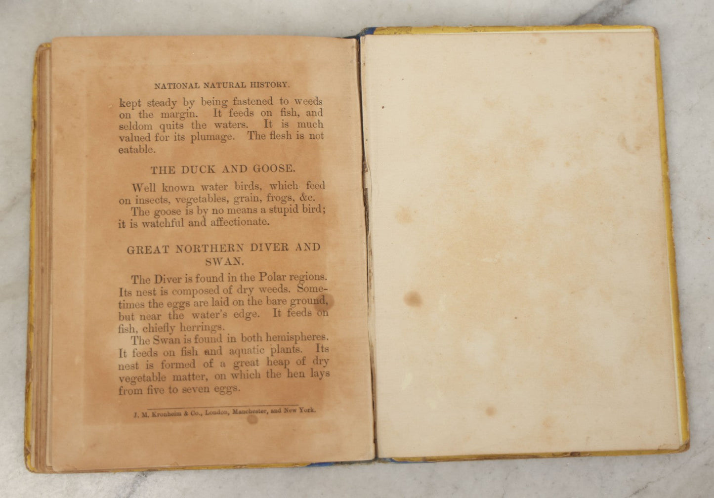 Lot 053 - "Warne's Picture Natural History: Birds And Animals" Antique Book Published By Frederick Warne & Co., London, Circa Late 19th Century