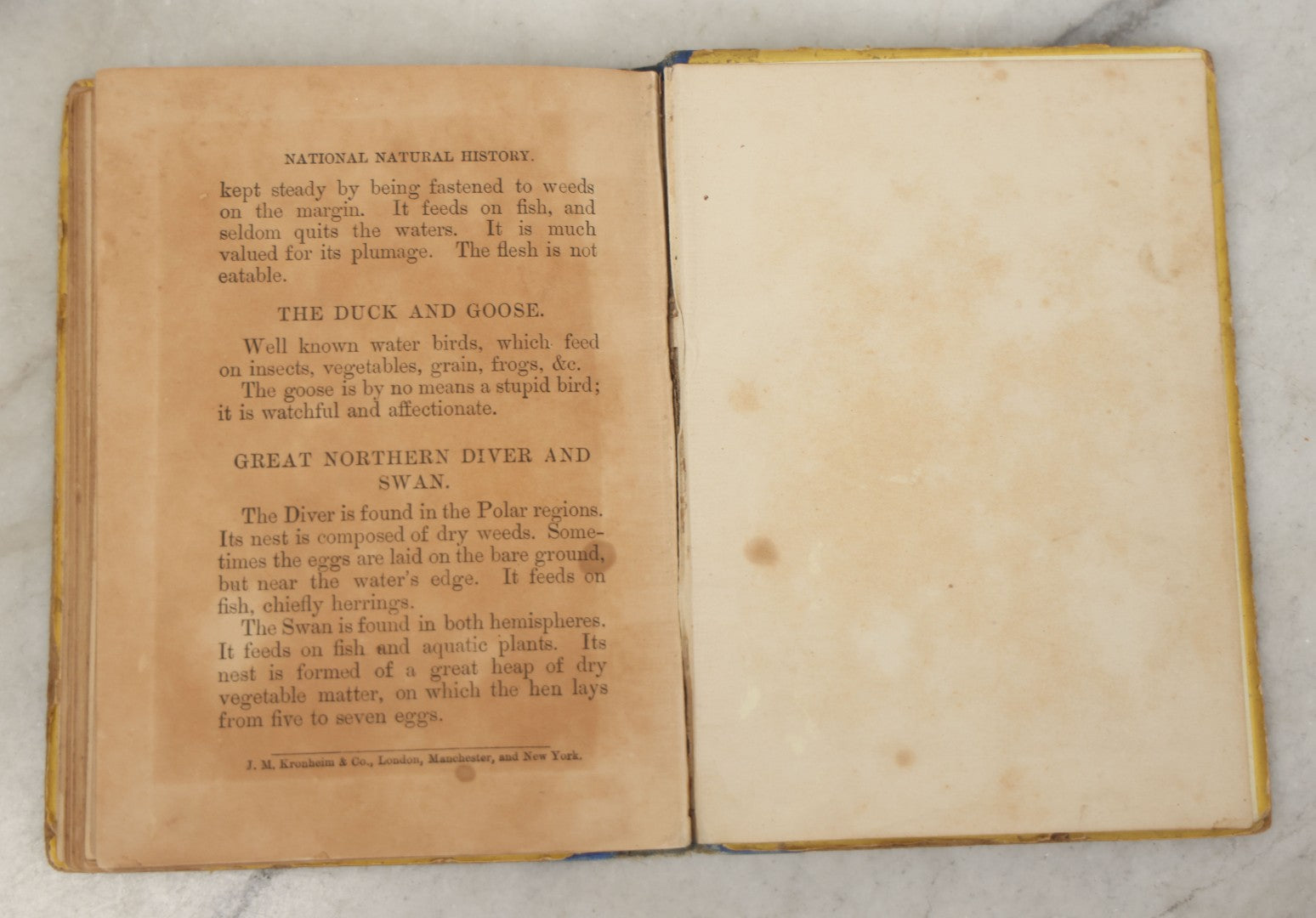 Lot 053 - "Warne's Picture Natural History: Birds And Animals" Antique Book Published By Frederick Warne & Co., London, Circa Late 19th Century