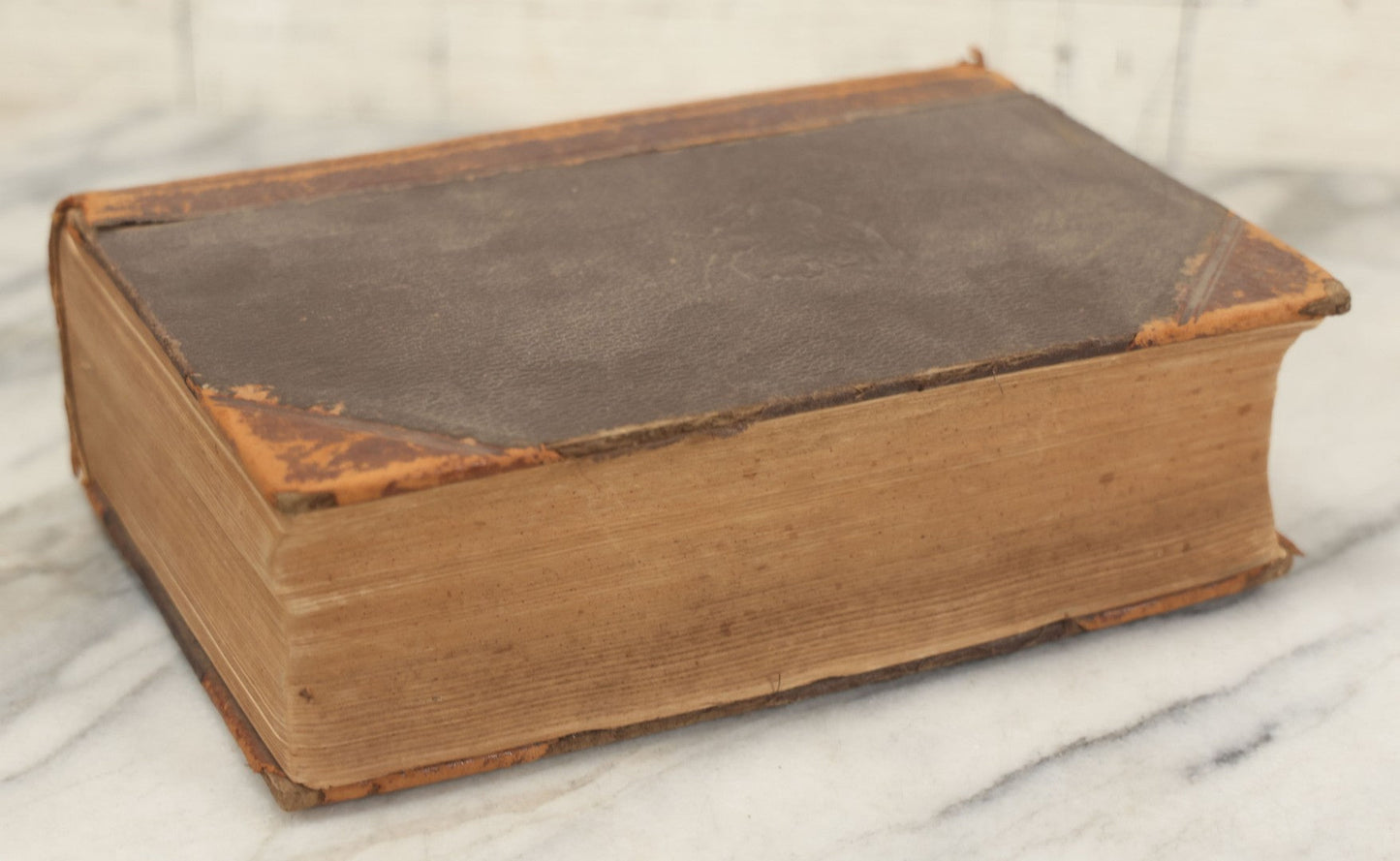 Lot 062 - "New Warren's Household Physician" Illustrated Antique Medical Reference Book With Layered Sectional Manikin Anatomical Illustrations, Debossed Woman's Bust On Cover, Other Full Color Plates, Published By A.I. Bradley & Company, Boston, 1904