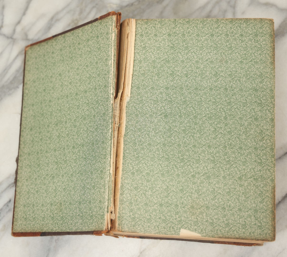 Lot 062 - "New Warren's Household Physician" Illustrated Antique Medical Reference Book With Layered Sectional Manikin Anatomical Illustrations, Debossed Woman's Bust On Cover, Other Full Color Plates, Published By A.I. Bradley & Company, Boston, 1904