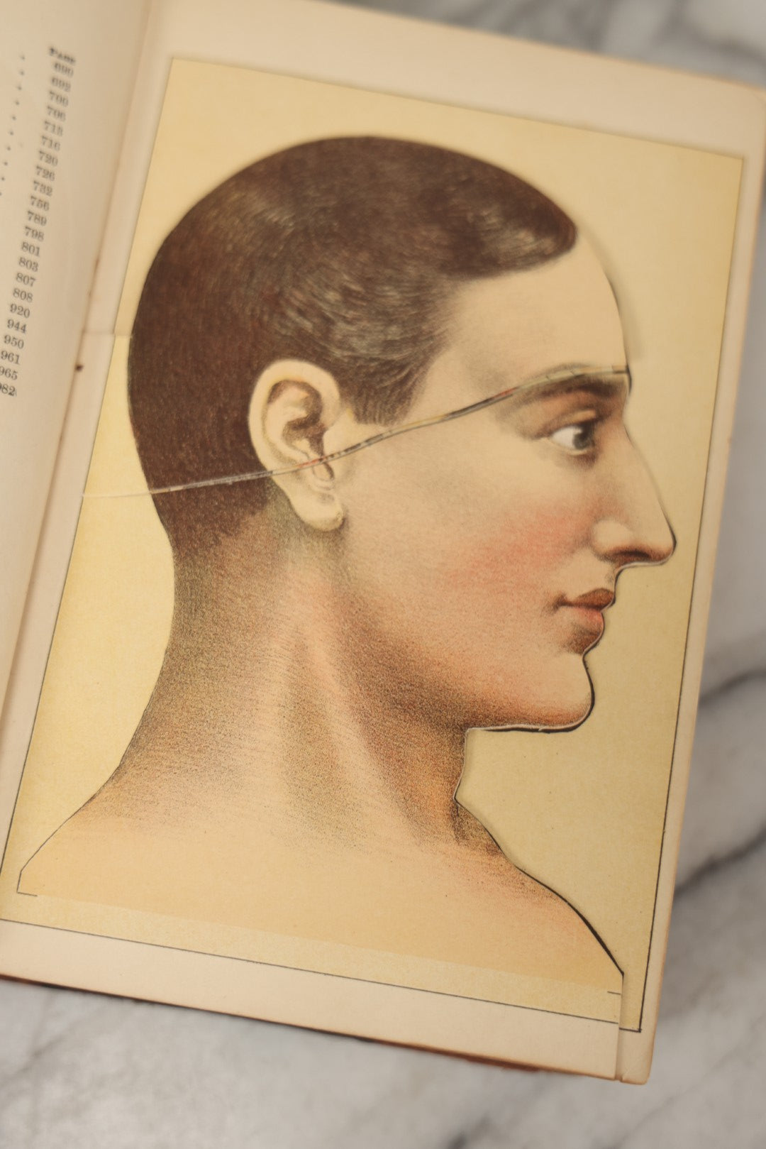 Lot 062 - "New Warren's Household Physician" Illustrated Antique Medical Reference Book With Layered Sectional Manikin Anatomical Illustrations, Debossed Woman's Bust On Cover, Other Full Color Plates, Published By A.I. Bradley & Company, Boston, 1904