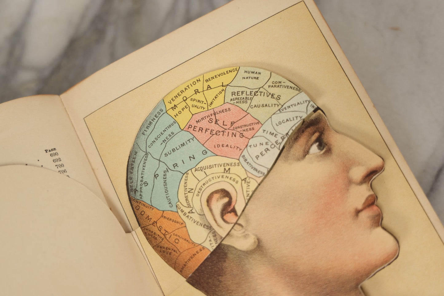 Lot 062 - "New Warren's Household Physician" Illustrated Antique Medical Reference Book With Layered Sectional Manikin Anatomical Illustrations, Debossed Woman's Bust On Cover, Other Full Color Plates, Published By A.I. Bradley & Company, Boston, 1904