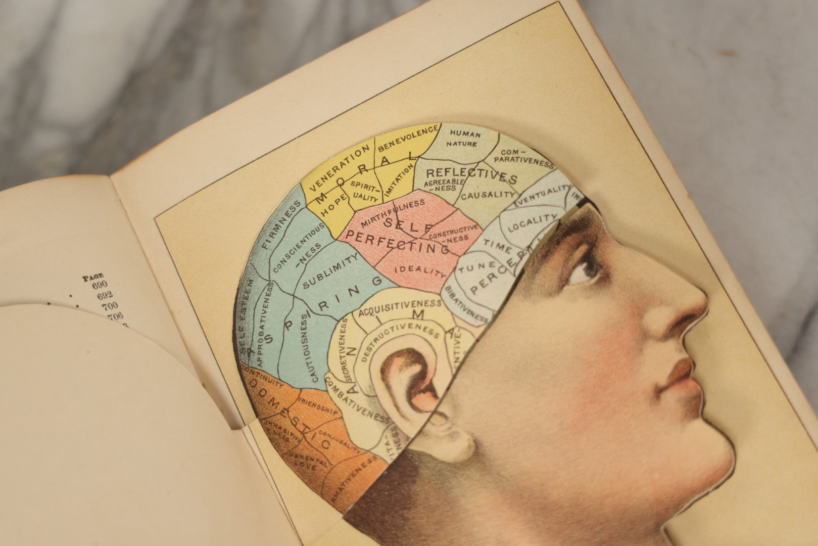 Lot 062 - "New Warren's Household Physician" Illustrated Antique Medical Reference Book With Layered Sectional Manikin Anatomical Illustrations, Debossed Woman's Bust On Cover, Other Full Color Plates, Published By A.I. Bradley & Company, Boston, 1904