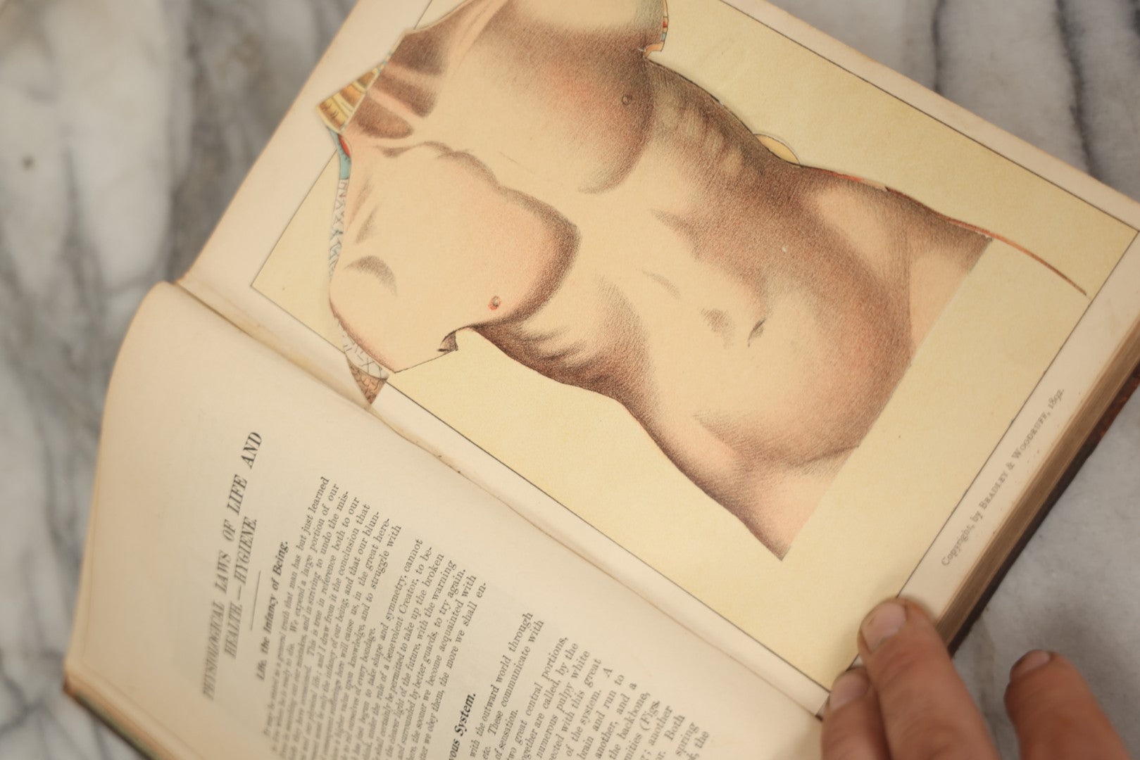 Lot 062 - "New Warren's Household Physician" Illustrated Antique Medical Reference Book With Layered Sectional Manikin Anatomical Illustrations, Debossed Woman's Bust On Cover, Other Full Color Plates, Published By A.I. Bradley & Company, Boston, 1904