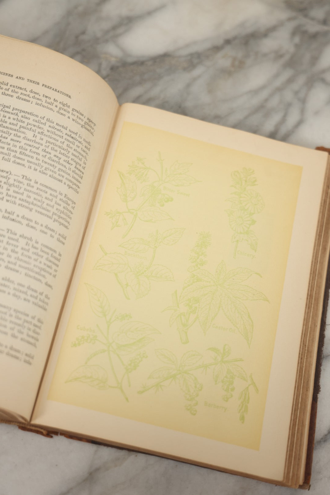 Lot 062 - "New Warren's Household Physician" Illustrated Antique Medical Reference Book With Layered Sectional Manikin Anatomical Illustrations, Debossed Woman's Bust On Cover, Other Full Color Plates, Published By A.I. Bradley & Company, Boston, 1904