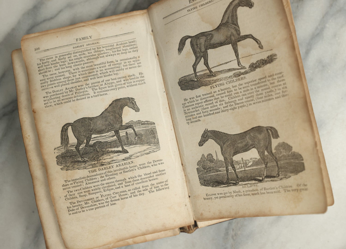 Lot 142 - "A New Family Encyclopedia" Antique Illustrated Encyclopedia Edited By Charles Goodrich, Published By T. Belknap, Connecticut, 1835