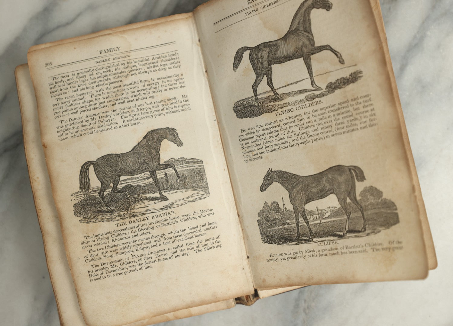 Lot 142 - "A New Family Encyclopedia" Antique Illustrated Encyclopedia Edited By Charles Goodrich, Published By T. Belknap, Connecticut, 1835
