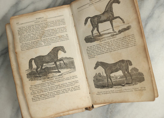Lot 142 - "A New Family Encyclopedia" Antique Illustrated Encyclopedia Edited By Charles Goodrich, Published By T. Belknap, Connecticut, 1835