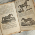 Lot 142 - "A New Family Encyclopedia" Antique Illustrated Encyclopedia Edited By Charles Goodrich, Published By T. Belknap, Connecticut, 1835