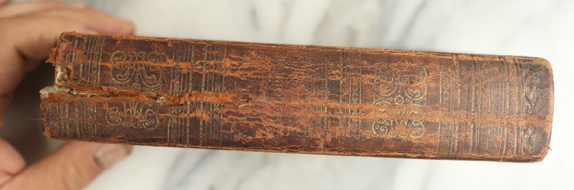 Lot 142 - "A New Family Encyclopedia" Antique Illustrated Encyclopedia Edited By Charles Goodrich, Published By T. Belknap, Connecticut, 1835