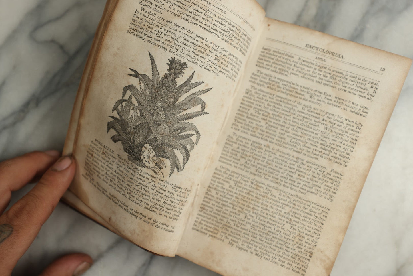 Lot 142 - "A New Family Encyclopedia" Antique Illustrated Encyclopedia Edited By Charles Goodrich, Published By T. Belknap, Connecticut, 1835