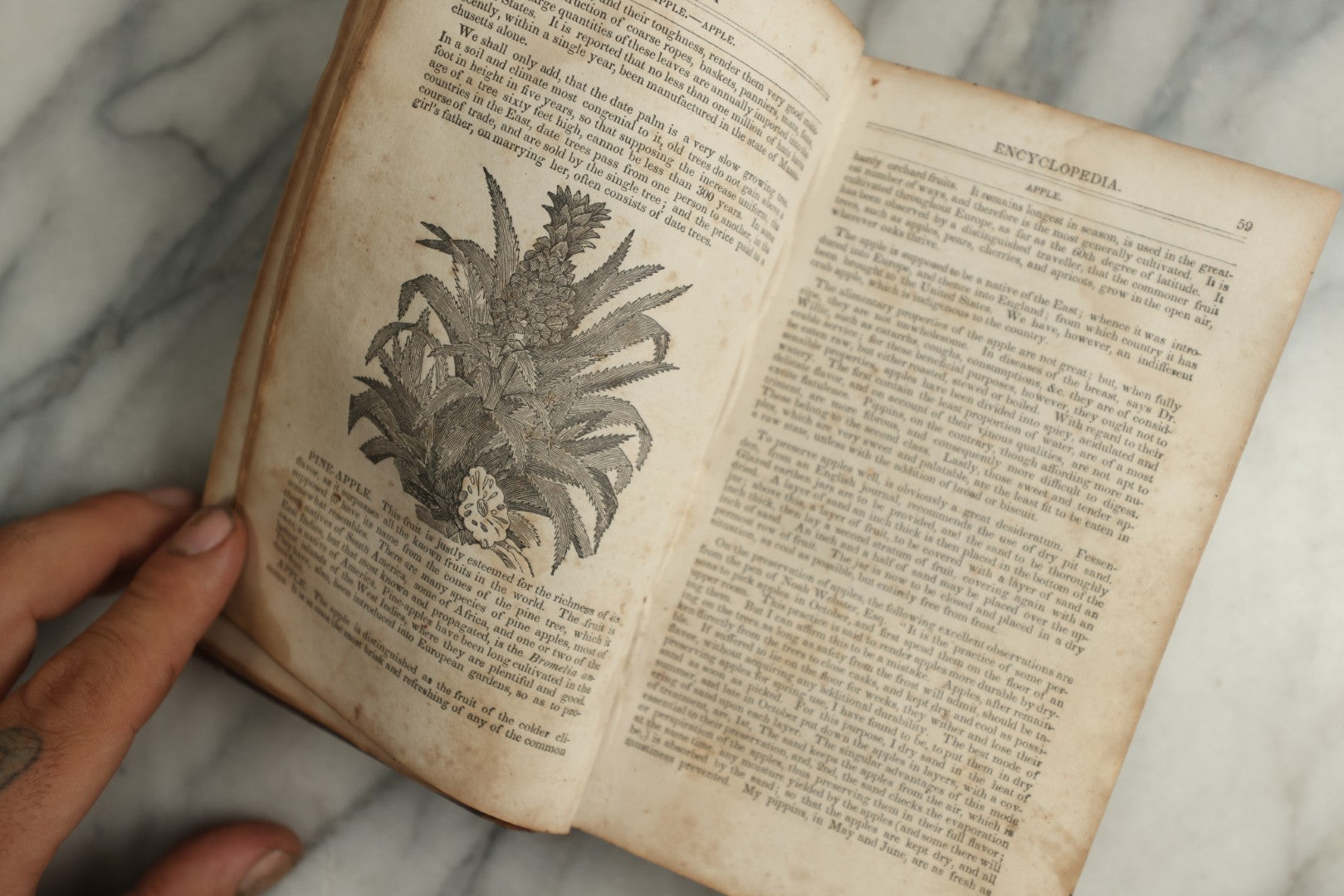 Lot 142 - "A New Family Encyclopedia" Antique Illustrated Encyclopedia Edited By Charles Goodrich, Published By T. Belknap, Connecticut, 1835