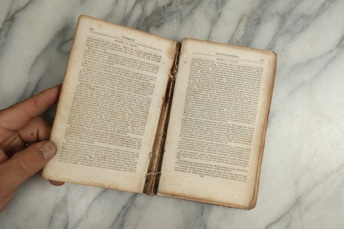 Lot 142 - "A New Family Encyclopedia" Antique Illustrated Encyclopedia Edited By Charles Goodrich, Published By T. Belknap, Connecticut, 1835