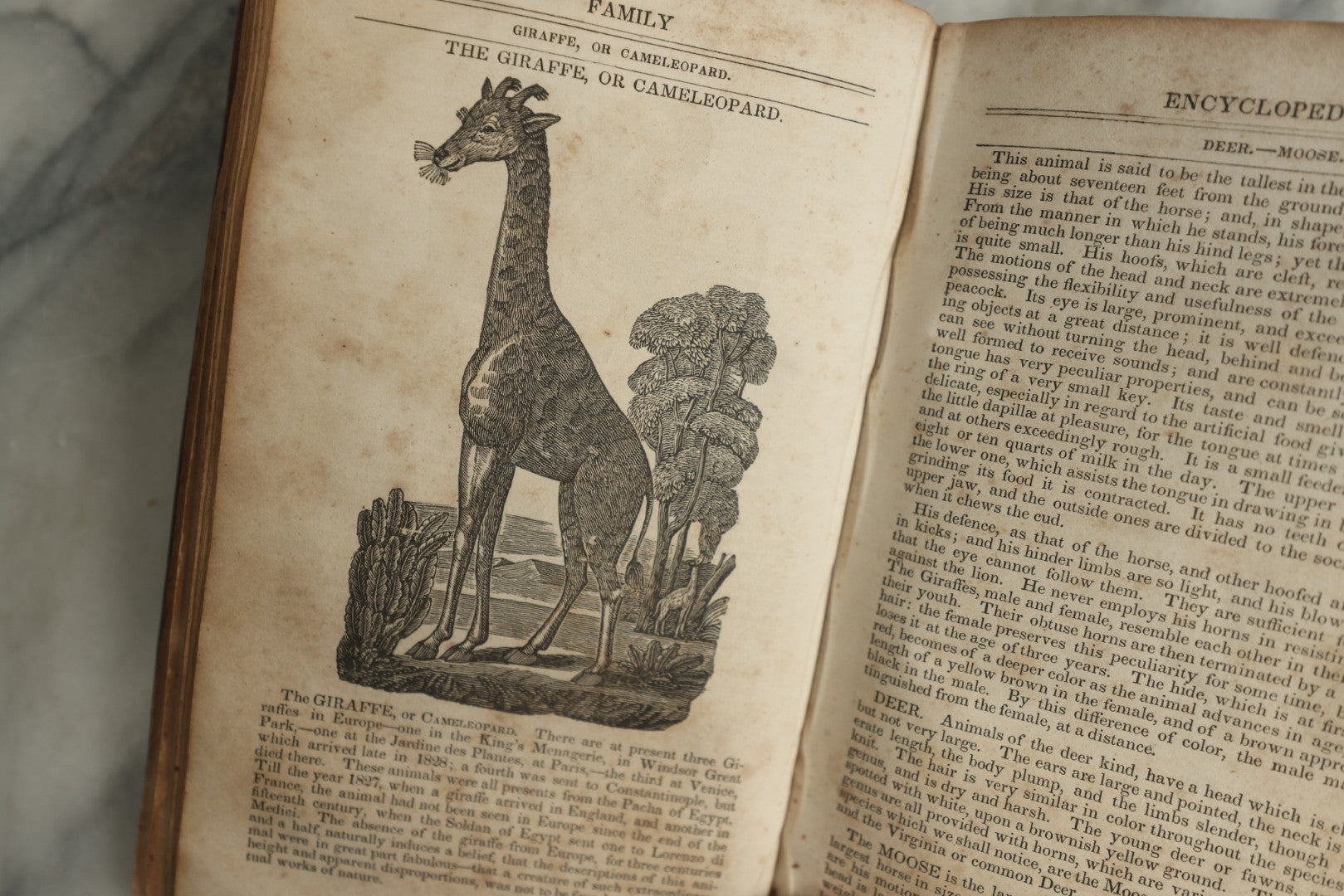 Lot 142 - "A New Family Encyclopedia" Antique Illustrated Encyclopedia Edited By Charles Goodrich, Published By T. Belknap, Connecticut, 1835