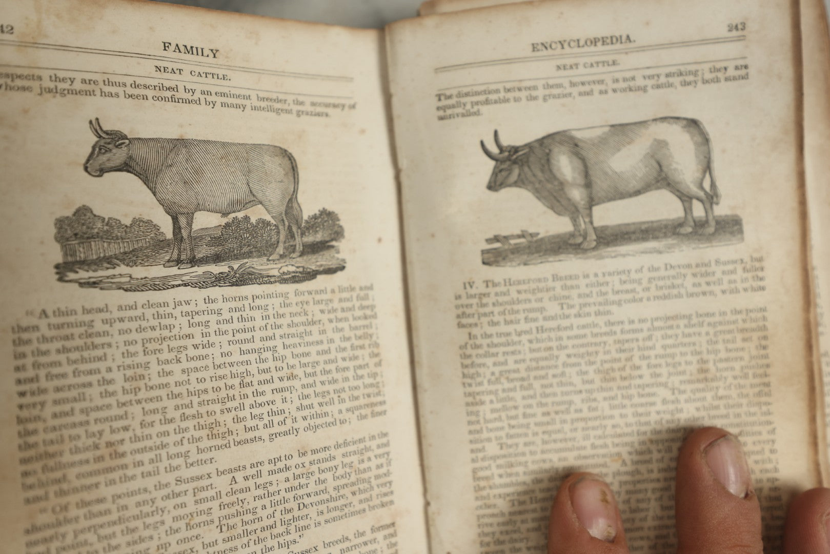 Lot 142 - "A New Family Encyclopedia" Antique Illustrated Encyclopedia Edited By Charles Goodrich, Published By T. Belknap, Connecticut, 1835