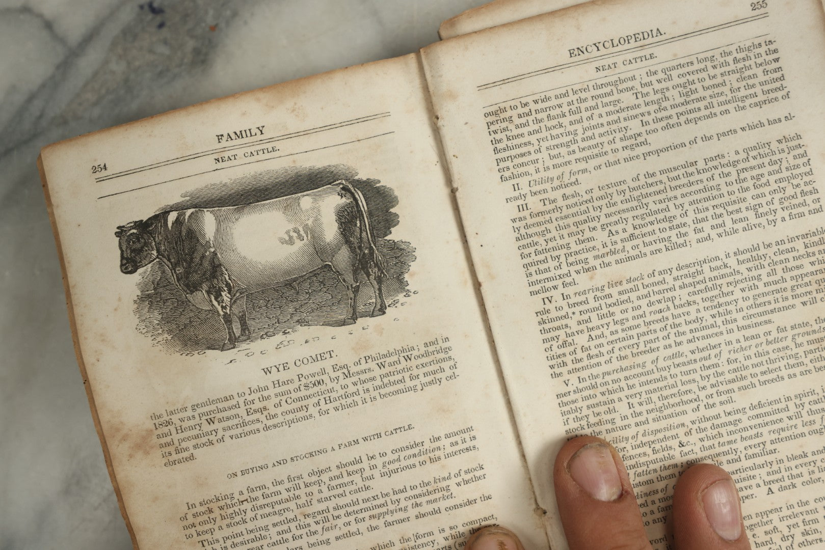 Lot 142 - "A New Family Encyclopedia" Antique Illustrated Encyclopedia Edited By Charles Goodrich, Published By T. Belknap, Connecticut, 1835