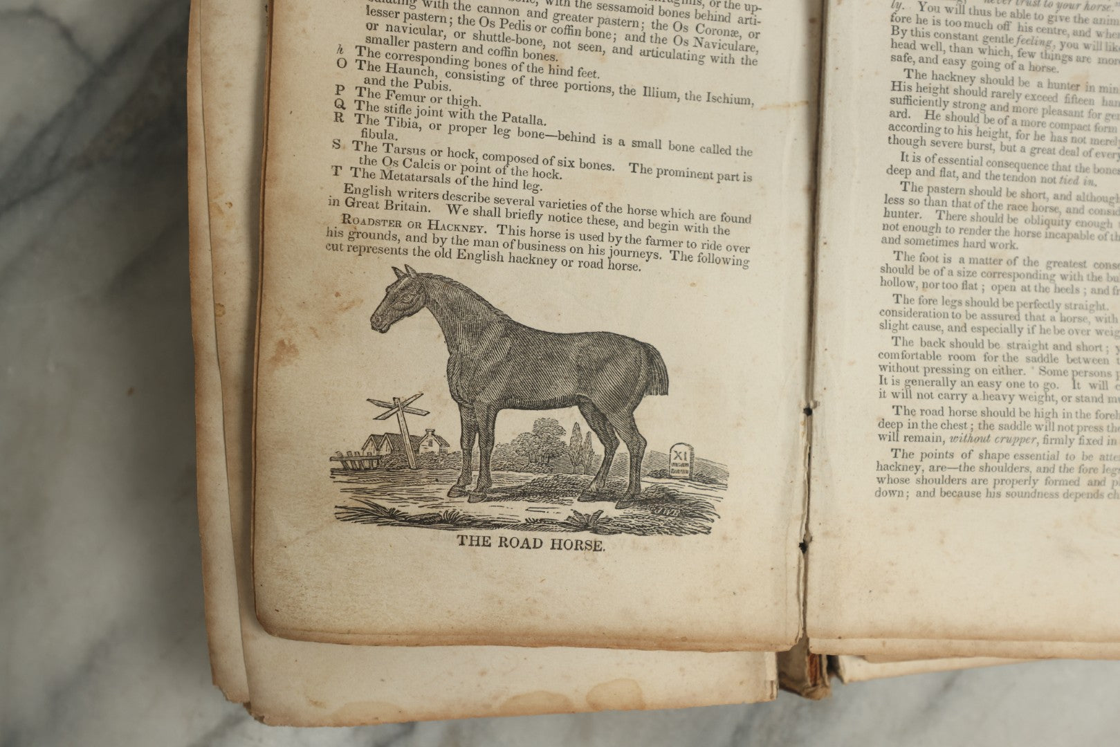 Lot 142 - "A New Family Encyclopedia" Antique Illustrated Encyclopedia Edited By Charles Goodrich, Published By T. Belknap, Connecticut, 1835