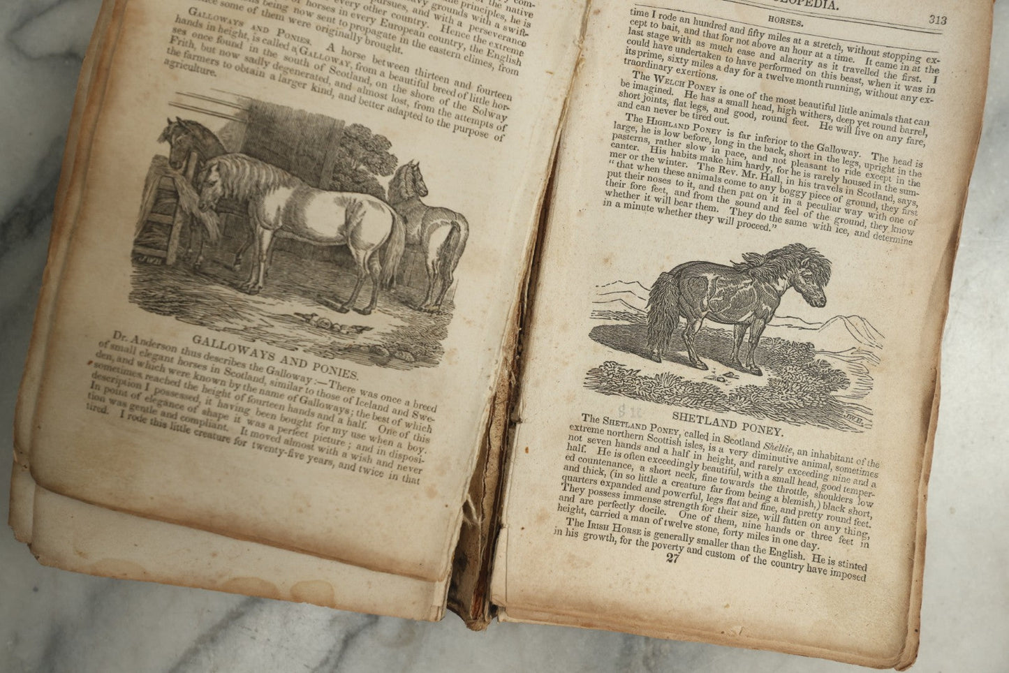 Lot 142 - "A New Family Encyclopedia" Antique Illustrated Encyclopedia Edited By Charles Goodrich, Published By T. Belknap, Connecticut, 1835
