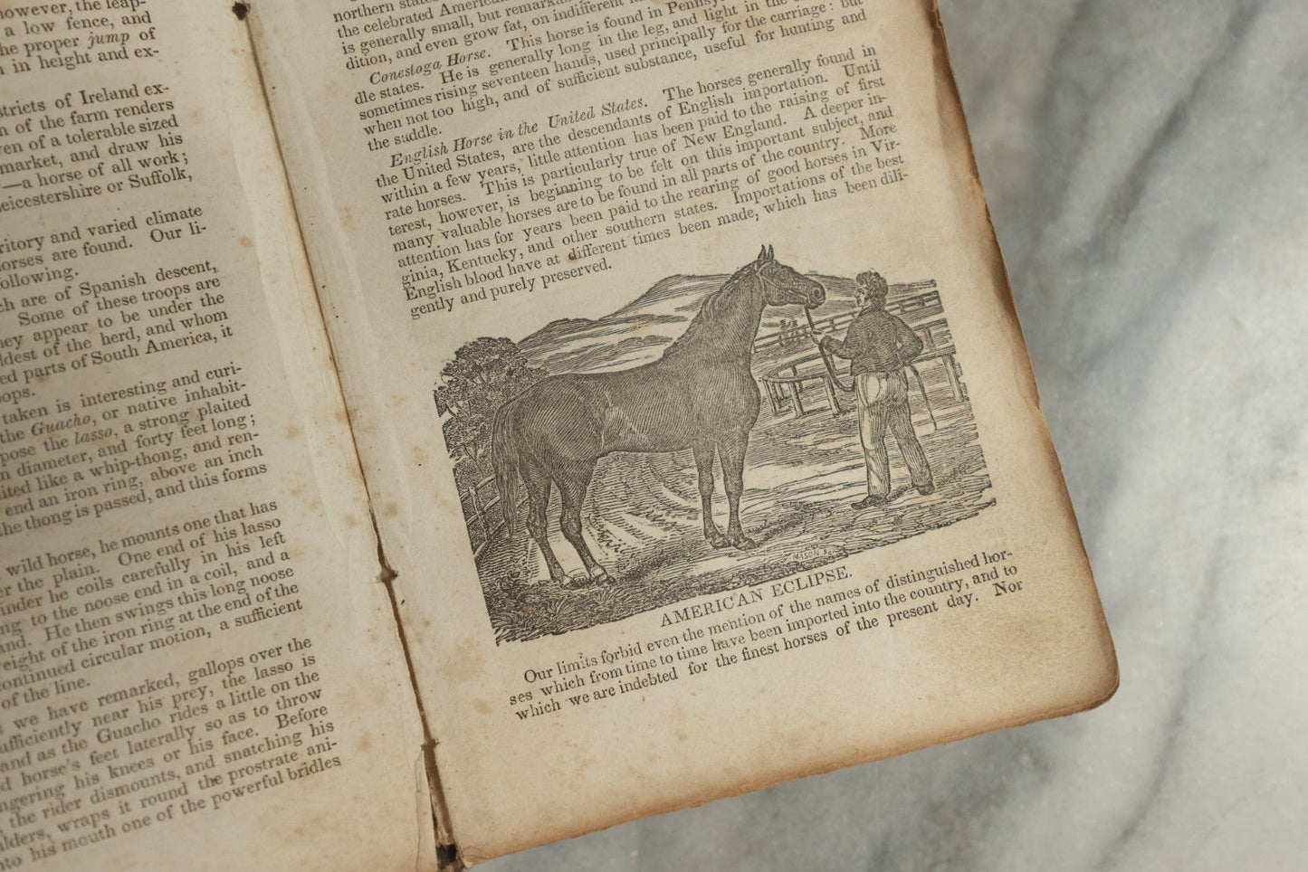 Lot 142 - "A New Family Encyclopedia" Antique Illustrated Encyclopedia Edited By Charles Goodrich, Published By T. Belknap, Connecticut, 1835