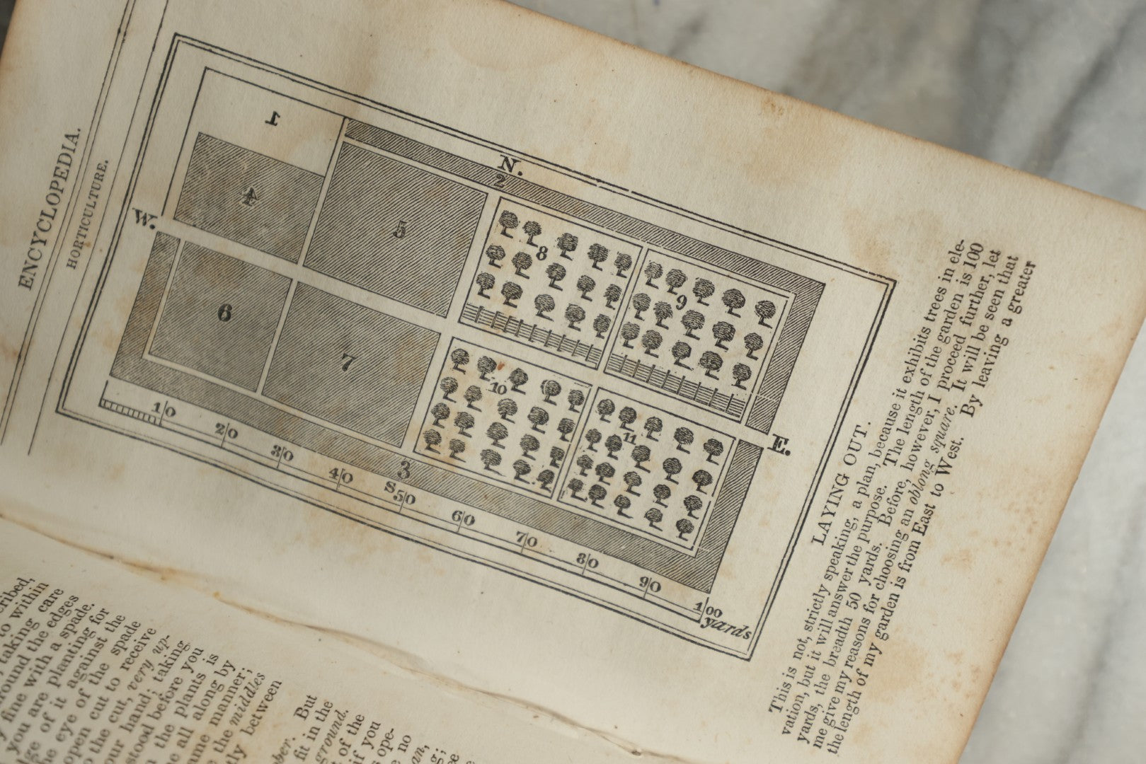 Lot 142 - "A New Family Encyclopedia" Antique Illustrated Encyclopedia Edited By Charles Goodrich, Published By T. Belknap, Connecticut, 1835