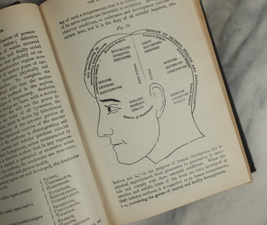 Lot 145 - "The People's Common Sense Medical Adviser" Antique Illustrated Reference Book By R.V. Pierce, M.D., Published By The World's Dispensary Medical Association, Buffalo, N.Y., 1895