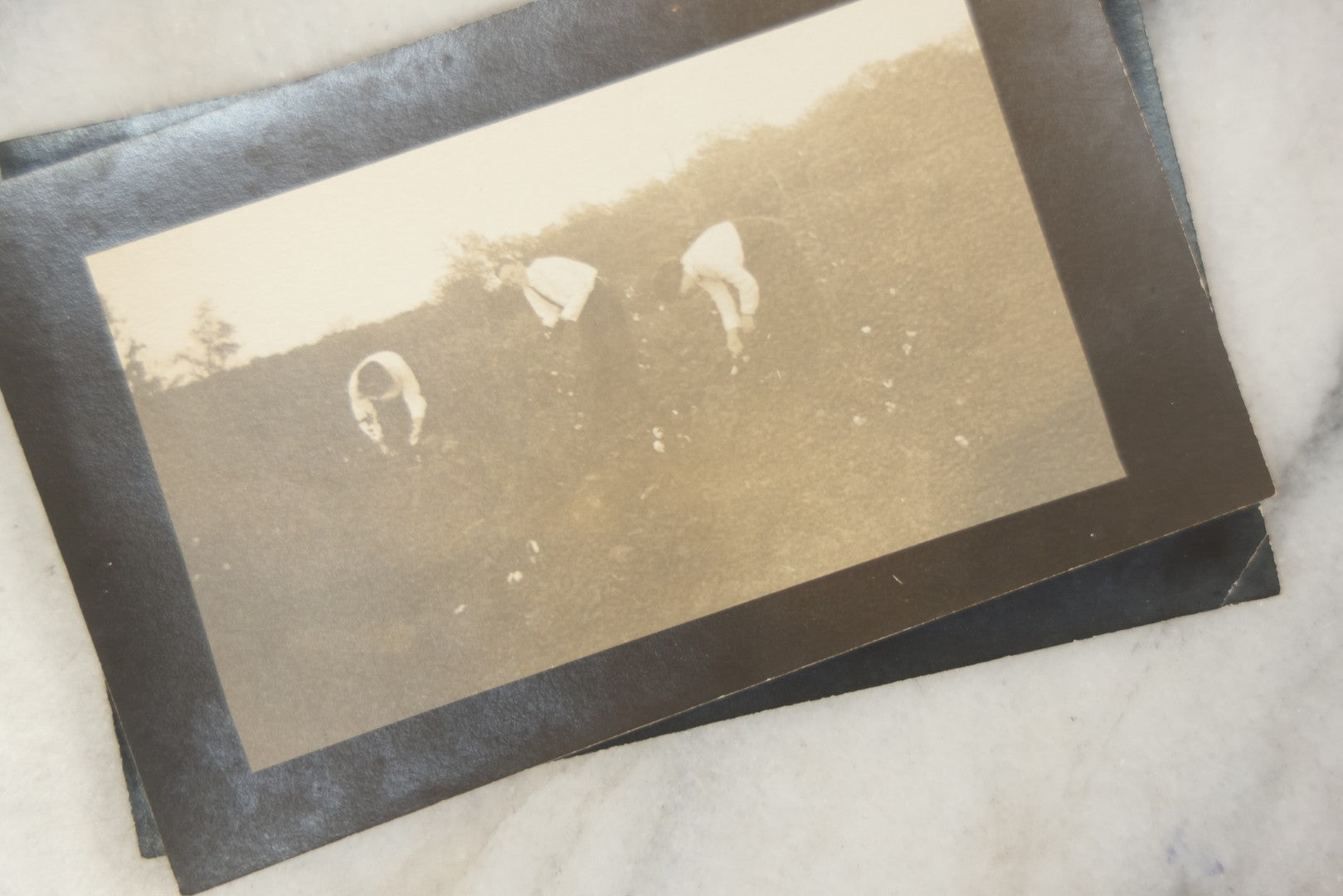 Lot 169 - Grouping Of 12 Antique Real Photo Postcards R.P.P.C., Including Cards Featuring Well Dressed Men And Women, Posing On Dock, In Field, With Babies
