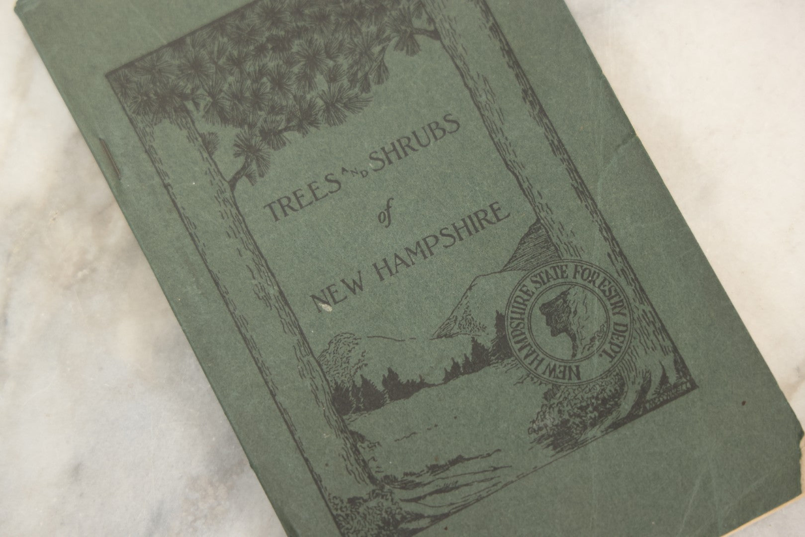 Lot 186 - “Trees And Shrubs Of New Hampshire” Vintage Booklet By John H. Foster, State Forester, 1931, Published By New Hampshire State Forestry Dept.