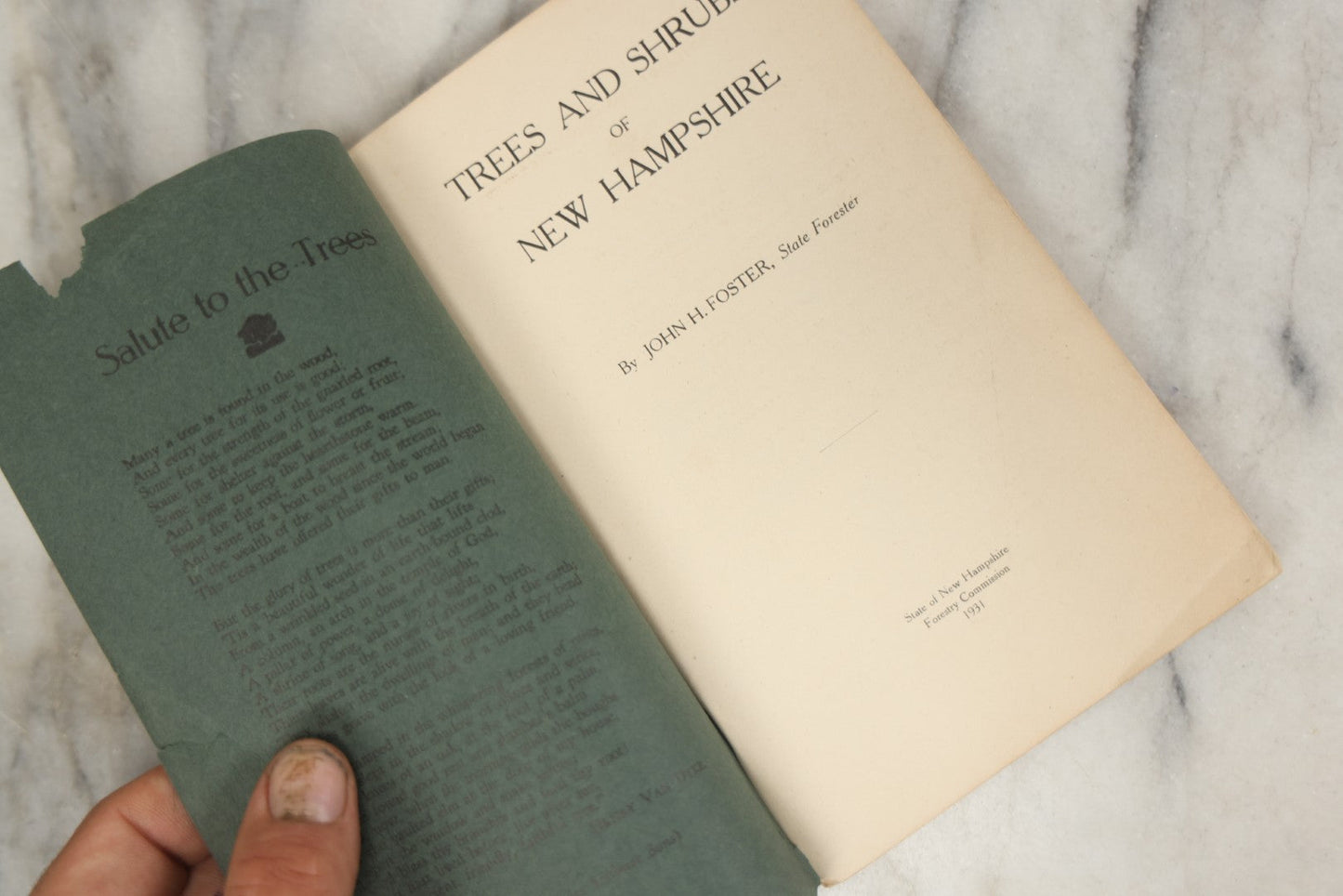 Lot 186 - “Trees And Shrubs Of New Hampshire” Vintage Booklet By John H. Foster, State Forester, 1931, Published By New Hampshire State Forestry Dept.