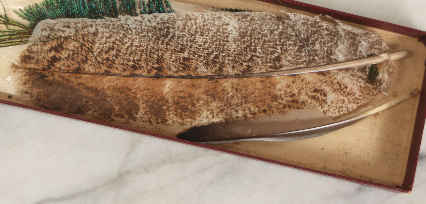 Lot 188 - Boxed Lot Of Antique Decorative Feathers Including Peacock Sword, Ostrich Plume, And Imported Turkey Wing Feathers, In George E. Page Box, Bellows Falls, Vermont, As Found
