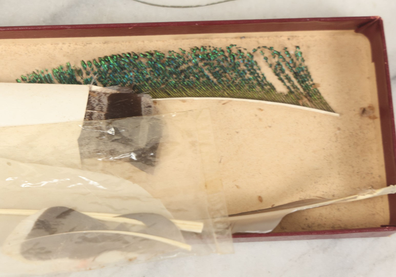 Lot 188 - Boxed Lot Of Antique Decorative Feathers Including Peacock Sword, Ostrich Plume, And Imported Turkey Wing Feathers, In George E. Page Box, Bellows Falls, Vermont, As Found