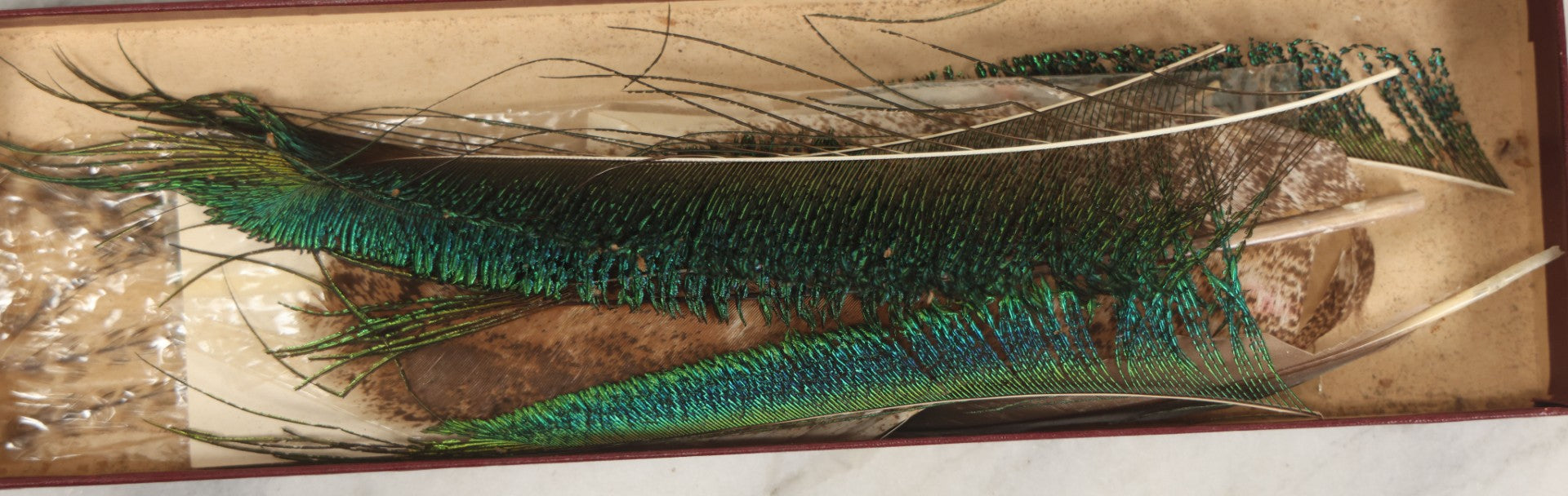 Lot 188 - Boxed Lot Of Antique Decorative Feathers Including Peacock Sword, Ostrich Plume, And Imported Turkey Wing Feathers, In George E. Page Box, Bellows Falls, Vermont, As Found