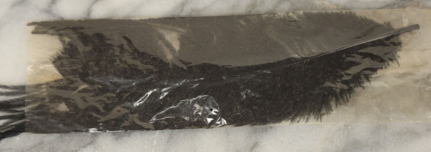 Lot 188 - Boxed Lot Of Antique Decorative Feathers Including Peacock Sword, Ostrich Plume, And Imported Turkey Wing Feathers, In George E. Page Box, Bellows Falls, Vermont, As Found