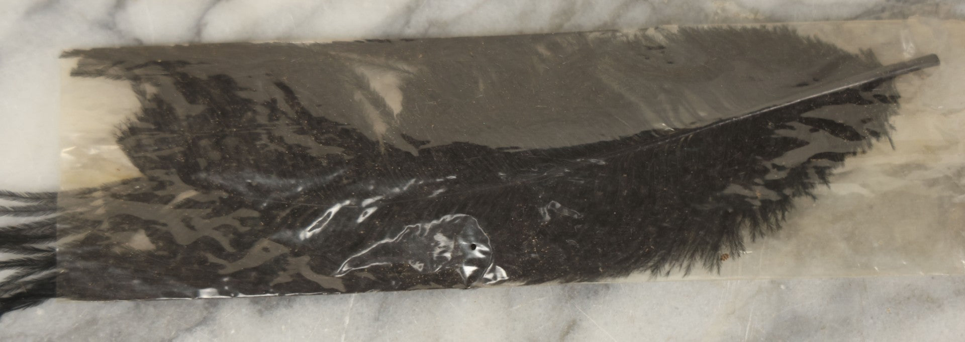 Lot 188 - Boxed Lot Of Antique Decorative Feathers Including Peacock Sword, Ostrich Plume, And Imported Turkey Wing Feathers, In George E. Page Box, Bellows Falls, Vermont, As Found