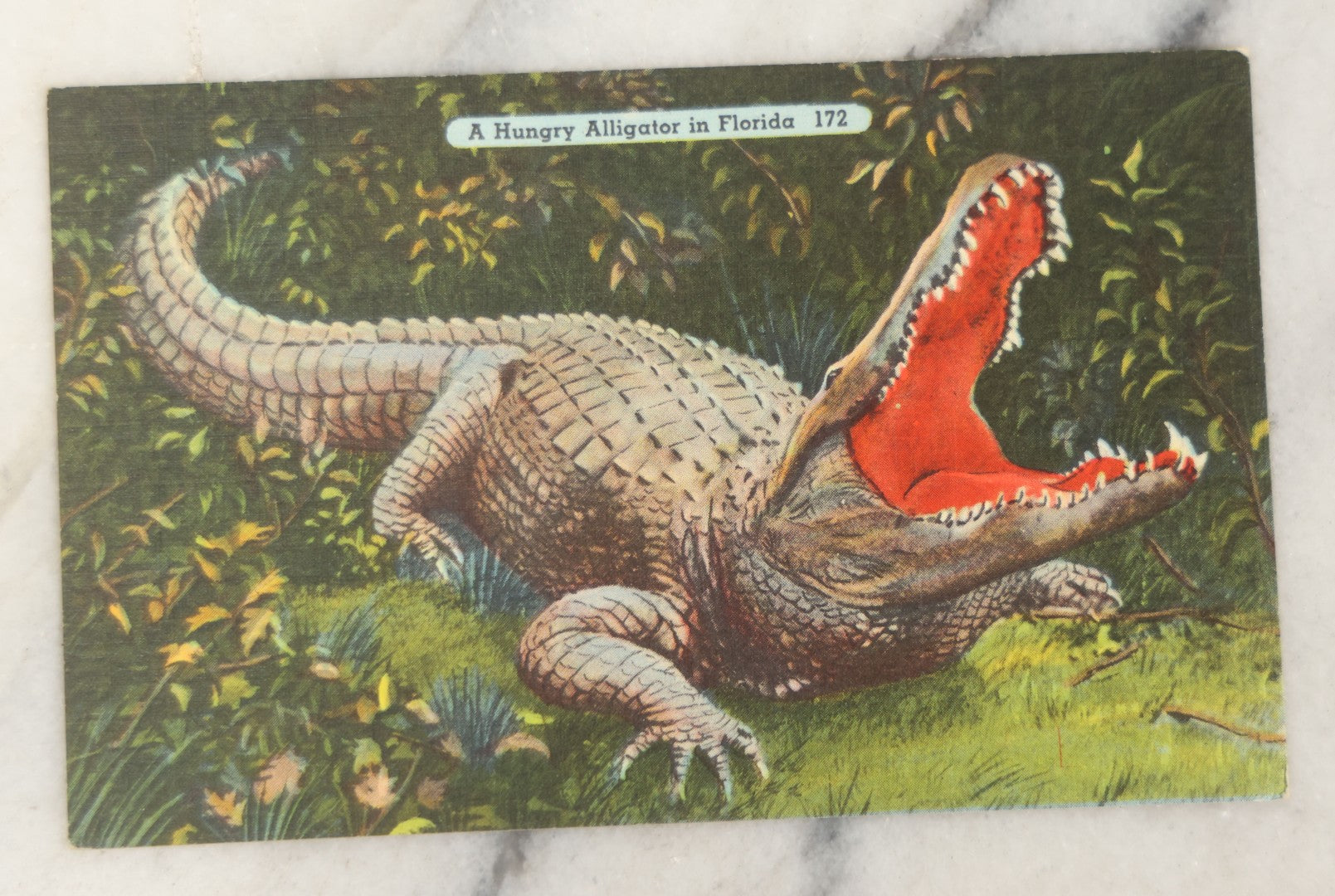 Lot 195 - Grouping Of 15+ Vintage And Antique Ephemera Items Including Photographs, Postcards, Elks Life Member Card, And Advertising Pieces