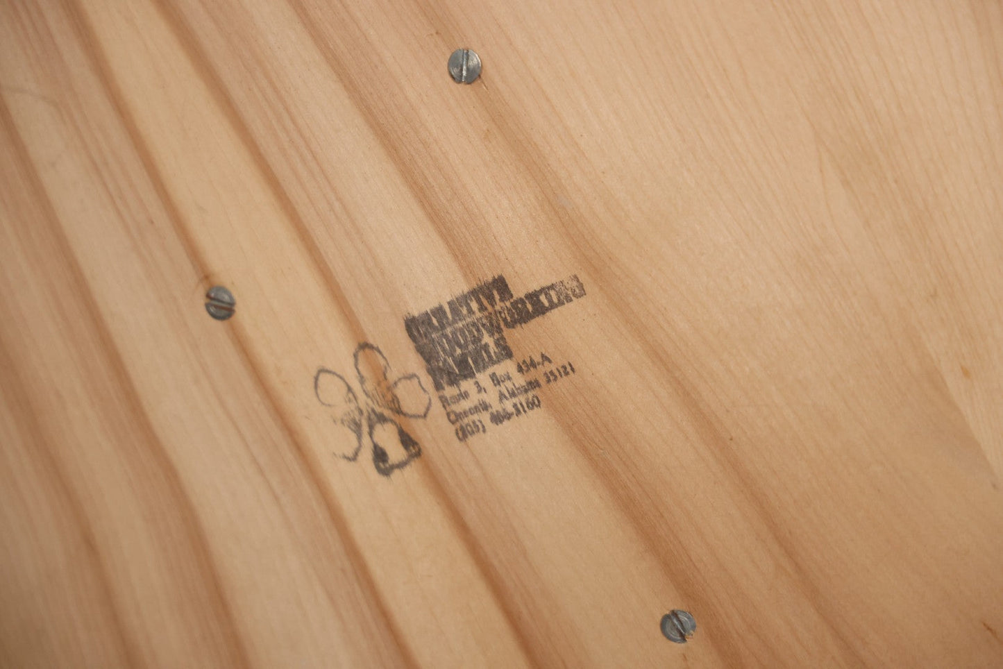 Vintage Black Catalina Goat Shoulder Mount Taxidermy On Wooden Plaque