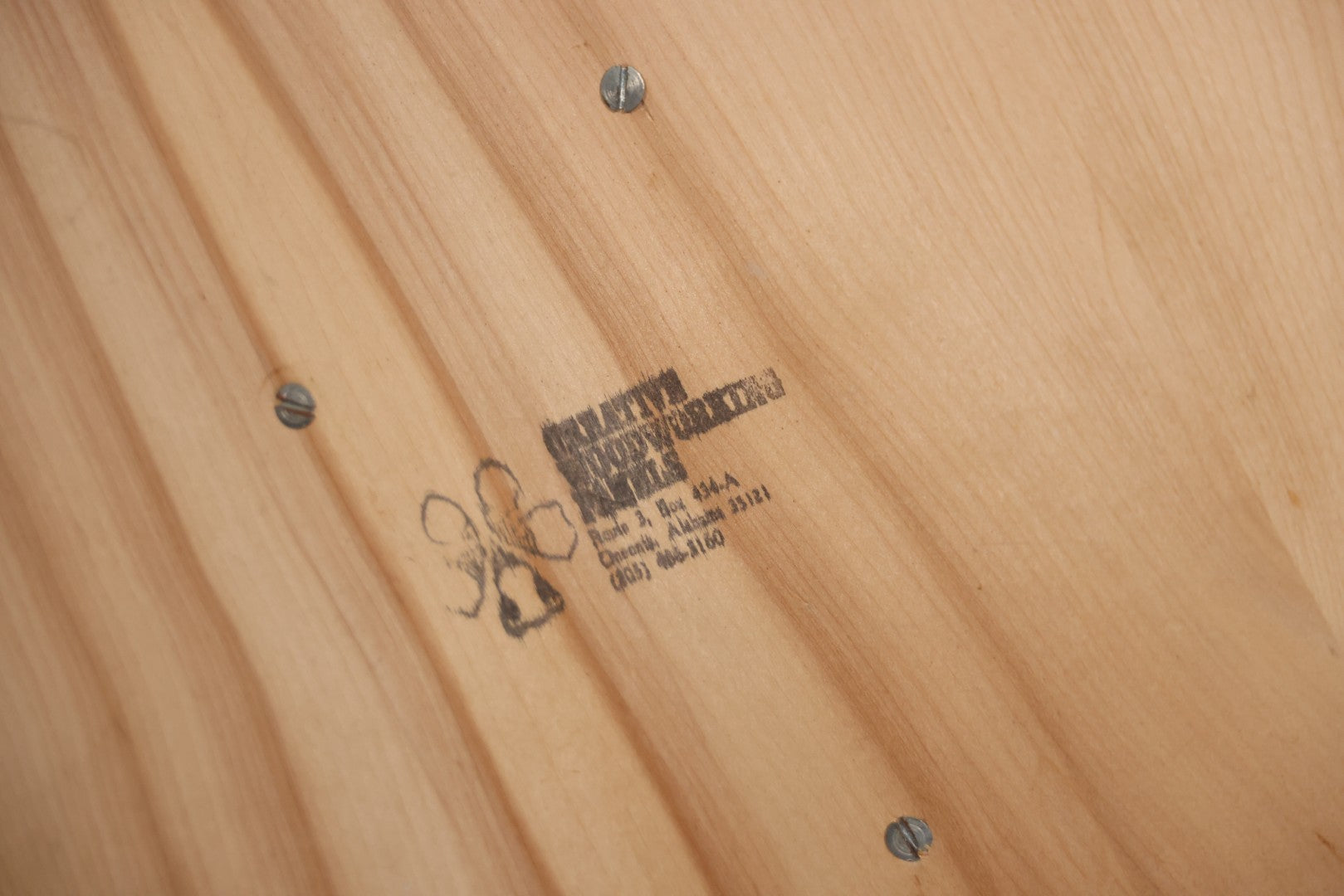 Vintage Black Catalina Goat Shoulder Mount Taxidermy On Wooden Plaque