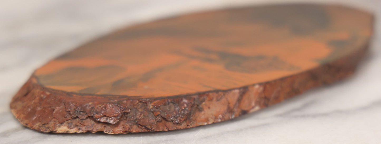 Lot 021 - Vintage Wood Decoupage Souvenir Of Center Ossipee, N.H., Featuring Print Of Hunting Scene With Campers, Bear And Canoe, And Tree Rings On Verso