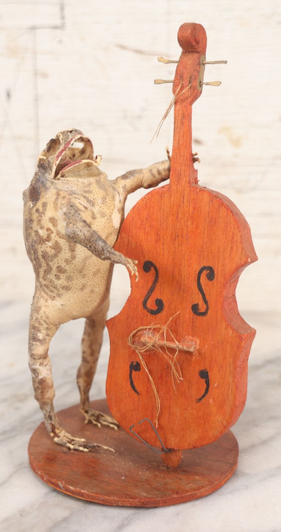 Lot 029 - Vintage Folk Art Taxidermy Frog Playing Cello, Missing Strings, Face Worn, 8-3/4" H