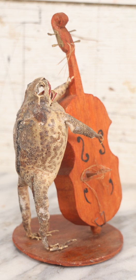 Lot 029 - Vintage Folk Art Taxidermy Frog Playing Cello, Missing Strings, Face Worn, 8-3/4" H