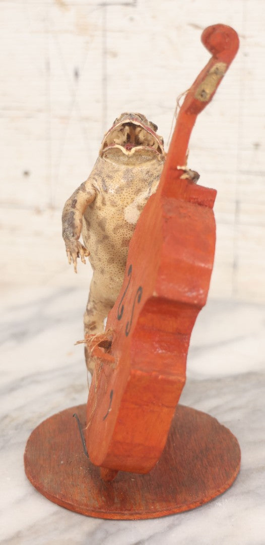 Lot 029 - Vintage Folk Art Taxidermy Frog Playing Cello, Missing Strings, Face Worn, 8-3/4" H
