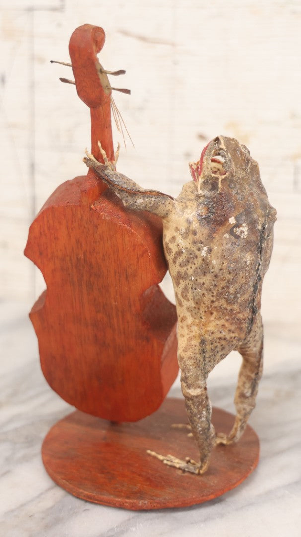 Lot 029 - Vintage Folk Art Taxidermy Frog Playing Cello, Missing Strings, Face Worn, 8-3/4" H