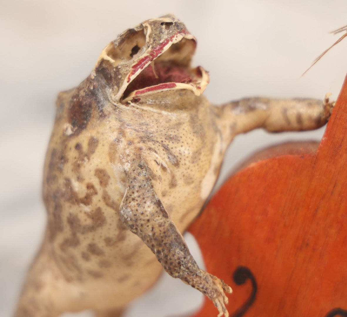 Lot 029 - Vintage Folk Art Taxidermy Frog Playing Cello, Missing Strings, Face Worn, 8-3/4" H