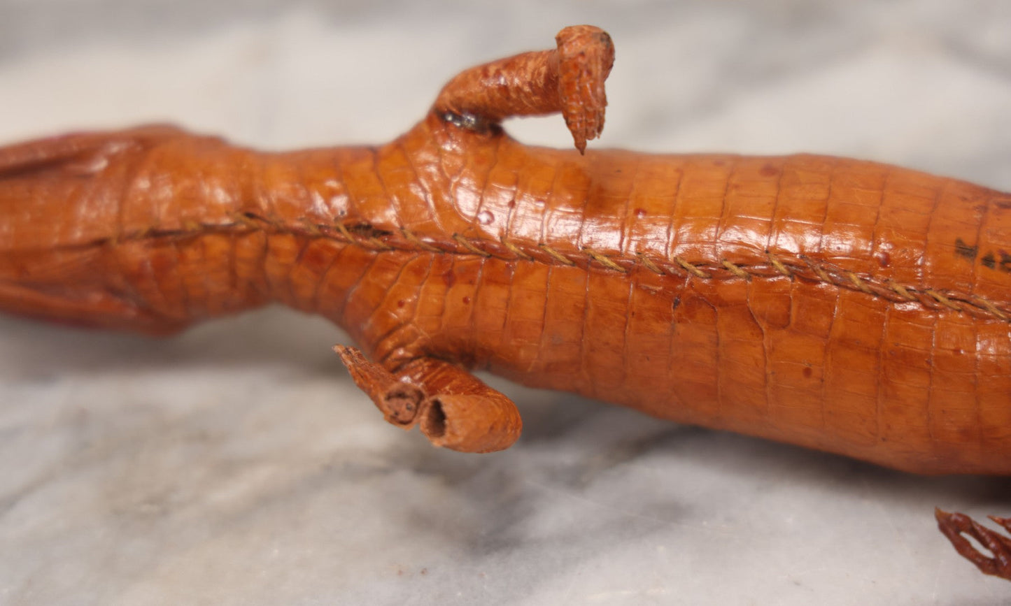 Lot 030 - Vintage Taxidermy Caiman Alligator, Made In Colombia, 18-1/2" L