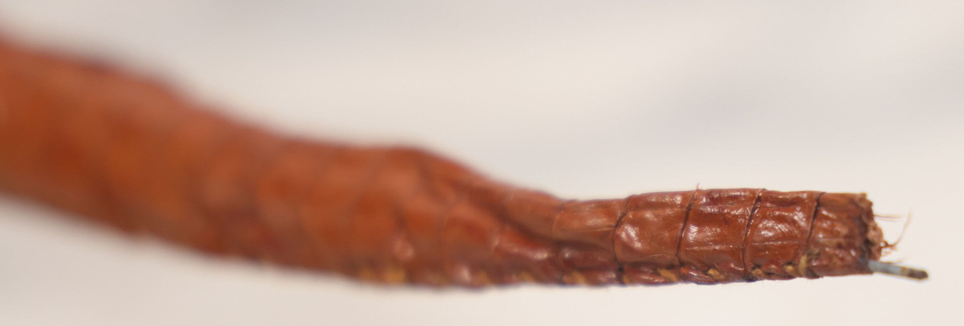 Lot 030 - Vintage Taxidermy Caiman Alligator, Made In Colombia, 18-1/2" L